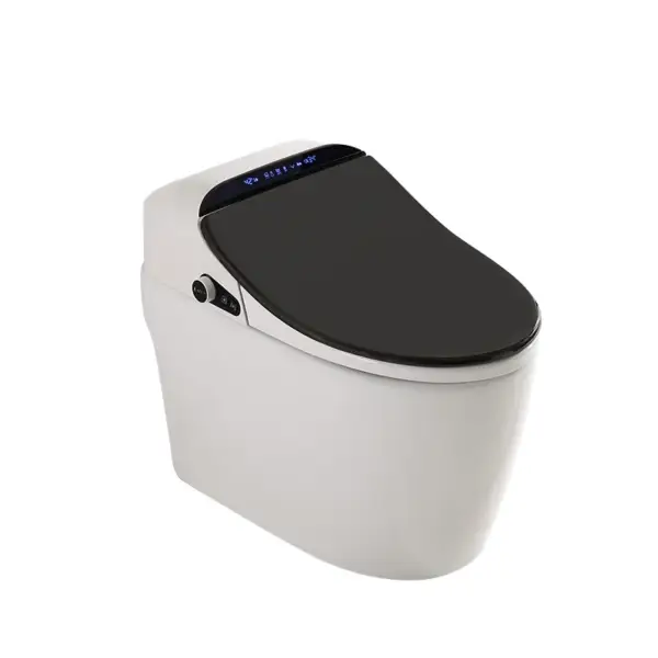 Black One-Piece Floor Mounted Elongated Smart Toilet & Bidet with Seat Horizontal Outlet - Image 5