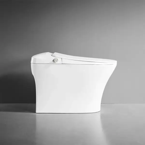 Tankless Smart One-Piece Floor Mounted Automatic Toilet Self Clean Smart Toilet - Image 5