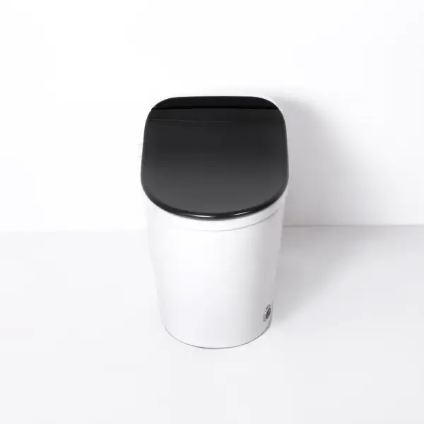 Black One-Piece Floor Mounted Elongated Smart Toilet & Bidet with Seat Horizontal Outlet - Image 6