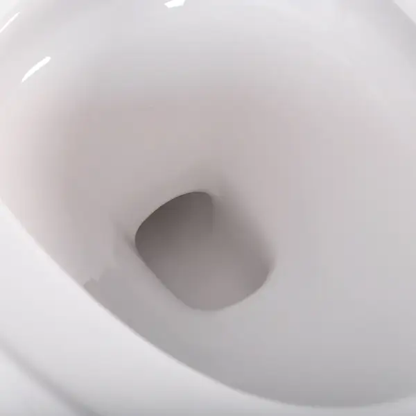 Black One-Piece Floor Mounted Elongated Smart Toilet & Bidet with Seat Horizontal Outlet - Image 21