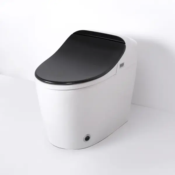 Black One-Piece Floor Mounted Elongated Smart Toilet & Bidet with Seat Horizontal Outlet - Image 4