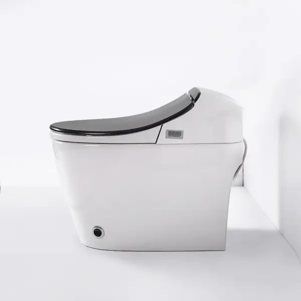 Black One-Piece Floor Mounted Elongated Smart Toilet & Bidet with Seat Horizontal Outlet - Image 7