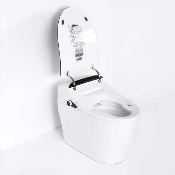Black One-Piece Floor Mounted Elongated Smart Toilet & Bidet with Seat Horizontal Outlet - Image 14