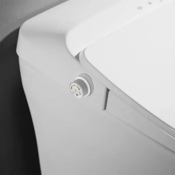 Tankless Smart One-Piece Floor Mounted Automatic Toilet Self Clean Smart Toilet - Image 8
