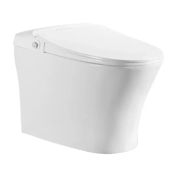 Tankless Smart One-Piece Floor Mounted Automatic Toilet Self Clean Smart Toilet - Image 11