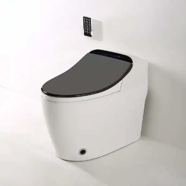 Black One-Piece Floor Mounted Elongated Smart Toilet & Bidet with Seat Horizontal Outlet - Image 2